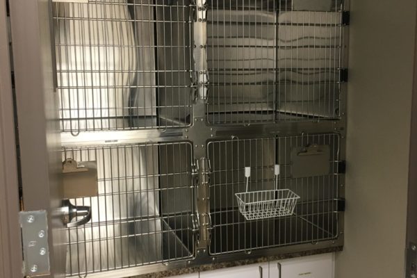 Cat Kennel Room